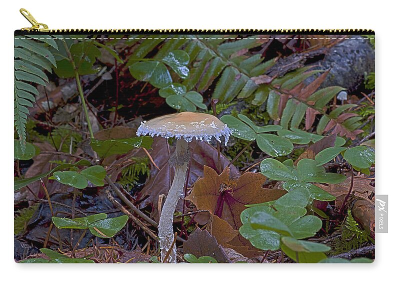 Stropharia Ambigua Zip Pouch featuring the photograph Stropharia ambigua #1 by Betty Depee