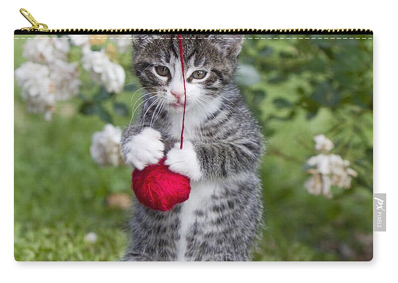 Feb0514 Zip Pouch featuring the photograph Tabby Kitten Playing With Ball Of Wool #1 by Duncan Usher