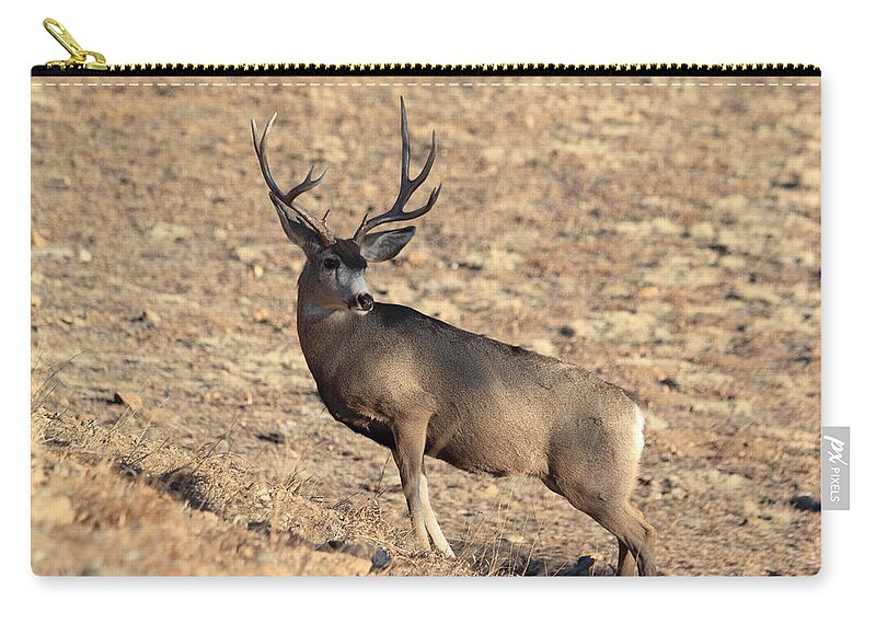 Mule Deer Zip Pouch featuring the photograph The Climb #1 by Shane Bechler