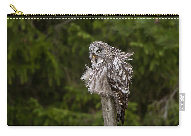 Great Gray Owl Carry-all Pouch featuring the photograph The Great Grey Owl by Torbjorn Swenelius