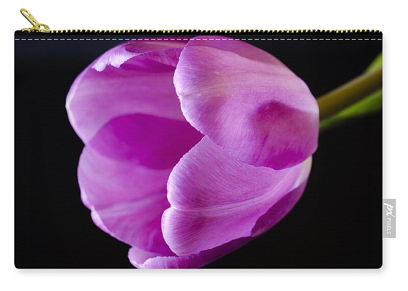Black Zip Pouch featuring the photograph The Very Pink of Perfection by Christi Kraft