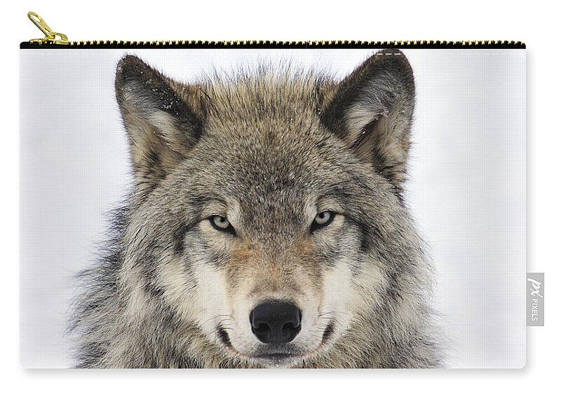 #faatoppicks Zip Pouch featuring the photograph Timber Wolf Portrait by Tony Beck