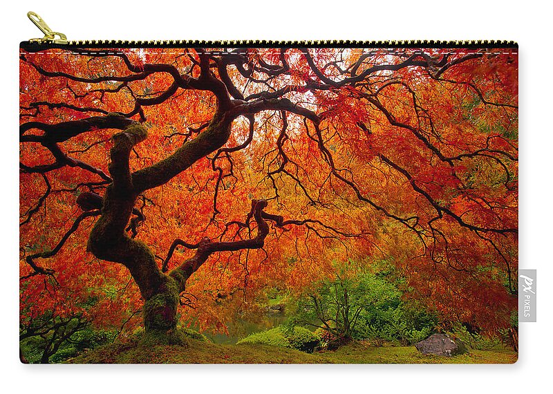 Autumn Zip Pouch featuring the photograph Tree Fire by Darren White