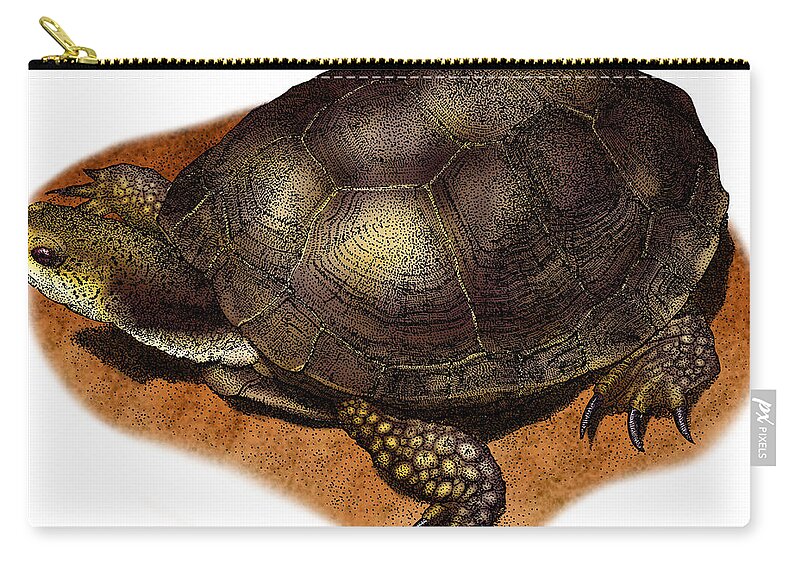 Reptile Zip Pouch featuring the photograph Western Pond Turtle #1 by Roger Hall
