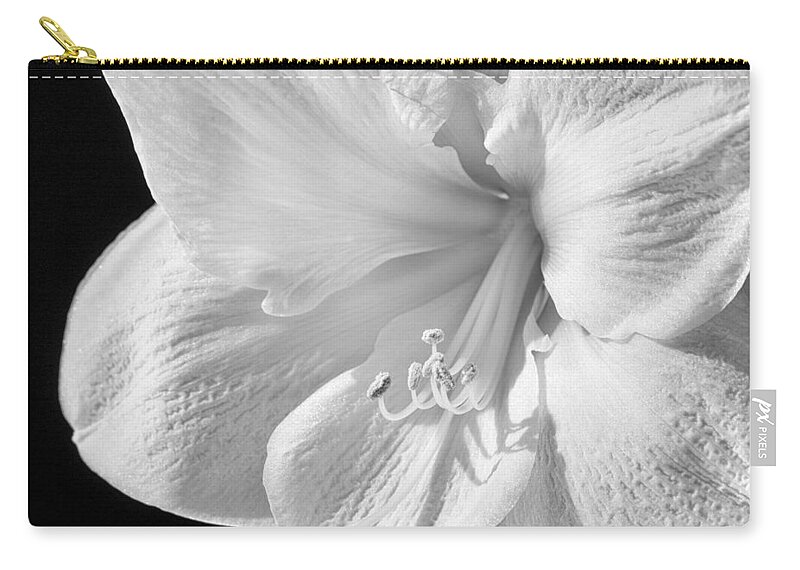 3scape Zip Pouch featuring the photograph White Amaryllis #1 by Adam Romanowicz