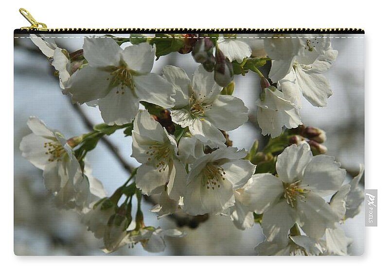 Cherry Blossom Zip Pouch featuring the photograph White Cherry Blossoms by Christiane Schulze Art And Photography