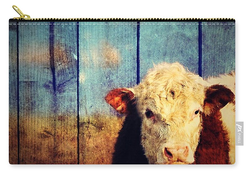 Cow Zip Pouch featuring the photograph Cow by Marysue Ryan