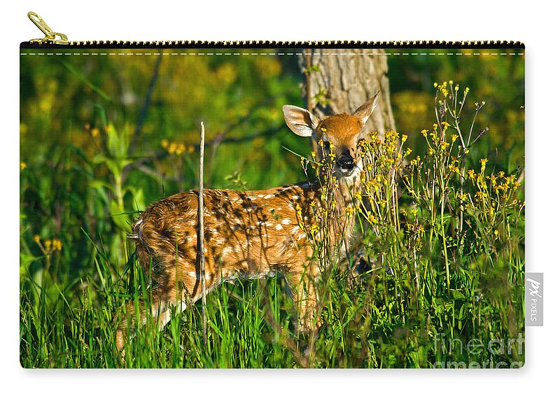 Fauna Zip Pouch featuring the photograph Whitetail Deer Fawn #1 by Mark Newman
