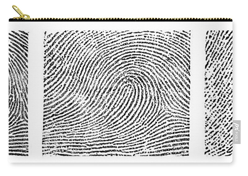 Fingerprint Zip Pouch featuring the photograph Whorl, Loop, And Arch Fingerprints #1 by Science Source