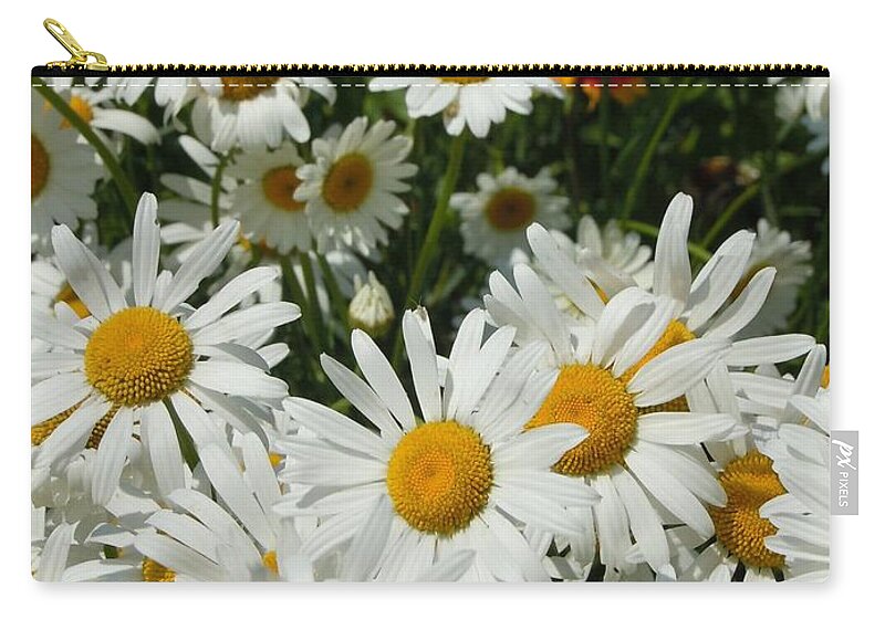 Daisies Zip Pouch featuring the photograph Wild White Daisies #1 by Robert ONeil