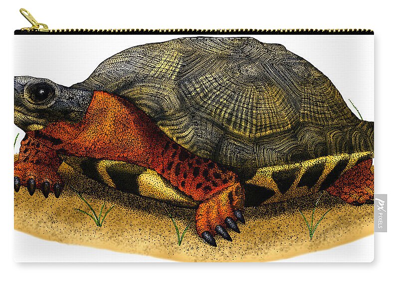 Wood Turtle Zip Pouch featuring the photograph Wood Turtle #1 by Roger Hall