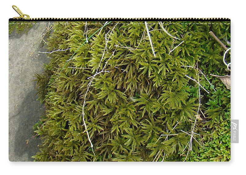 Moss Zip Pouch featuring the photograph Woodland Mosses #1 by Carol Senske