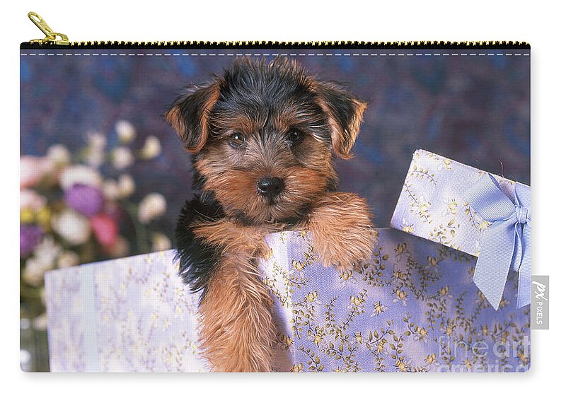Animal Carry-all Pouch featuring the photograph Yorkshire Terrier Puppy by Alan and Sandy Carey