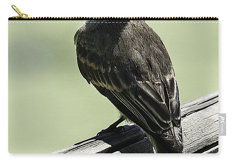 Heron Heaven Zip Pouch featuring the photograph You Looking At Me #1 by Ed Peterson