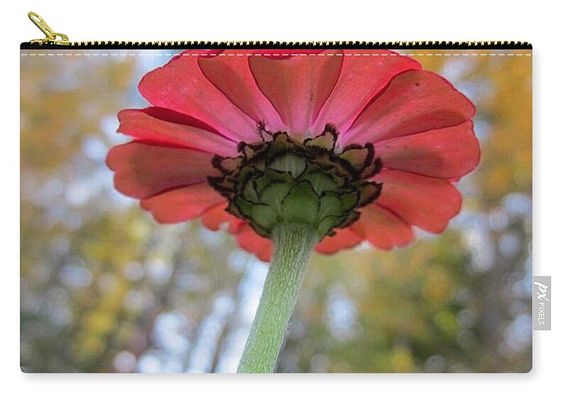 Zinnia Zip Pouch featuring the photograph Zinnia #1 by MTBobbins Photography