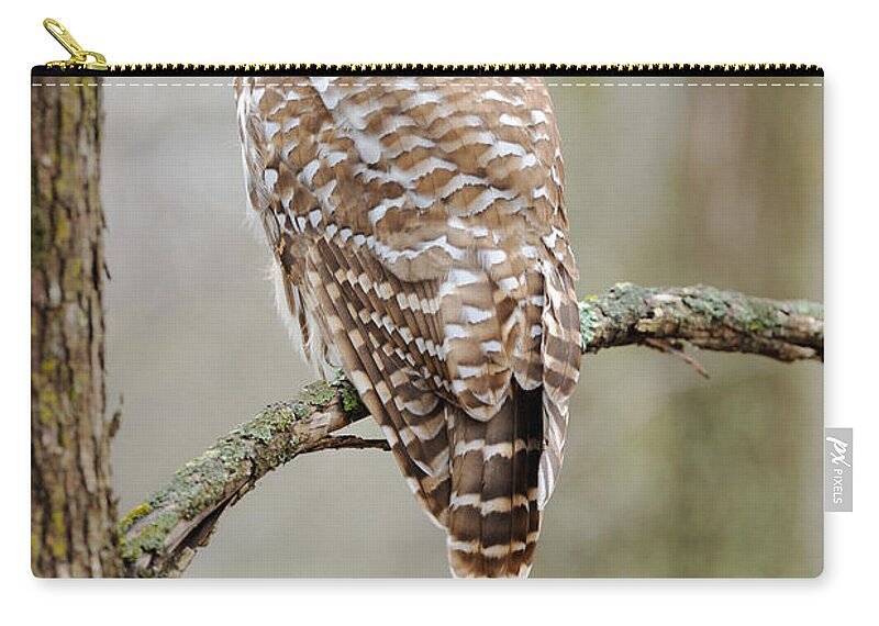 Barred Owl Zip Pouch featuring the photograph Barred Owl by Scott Linstead