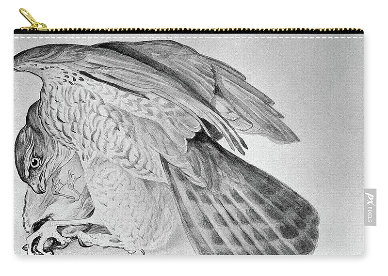 1895 Zip Pouch featuring the drawing Blackburn Birds, 1895 #11 by Granger