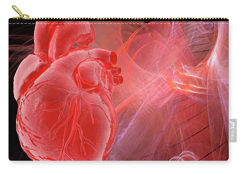 Physiology Zip Pouch featuring the digital art Human Heart, Artwork #11 by Laguna Design