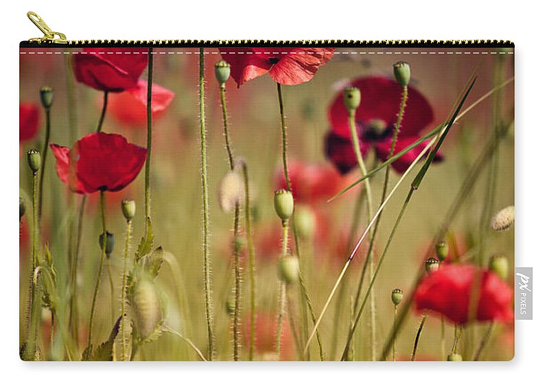Poppy Carry-all Pouch featuring the photograph Summer Poppy by Nailia Schwarz
