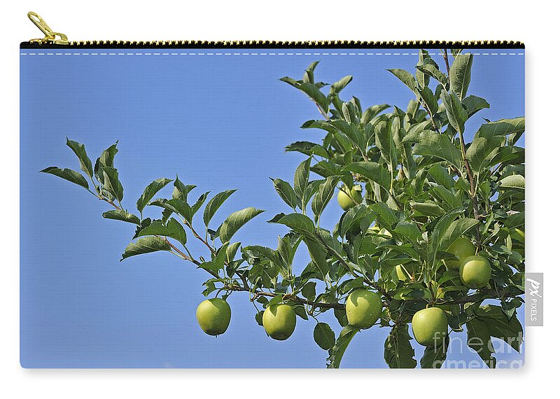 Malus Domestica Zip Pouch featuring the photograph 110414p073 by Arterra Picture Library