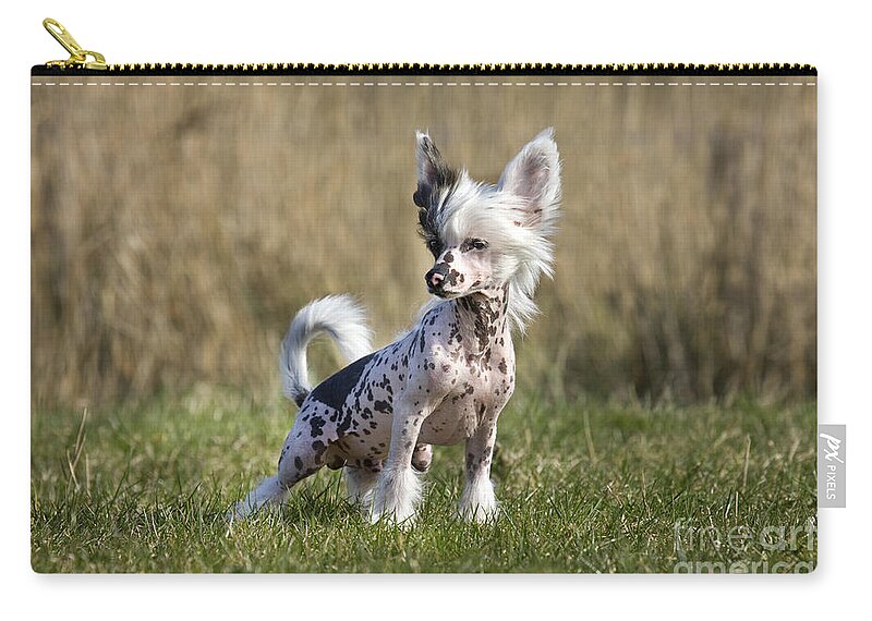Mammal Zip Pouch featuring the photograph 110506p174 by Arterra Picture Library