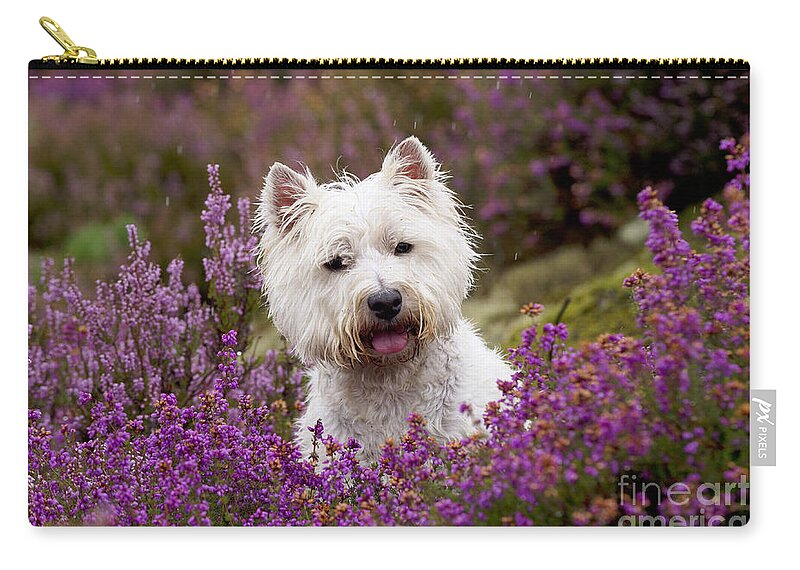 Dog Zip Pouch featuring the photograph West Highland White Terrier #12 by John Daniels