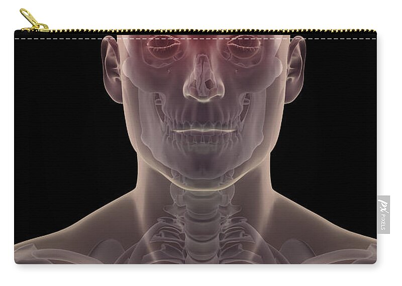 Skeletal System Zip Pouch featuring the photograph Head Pain #16 by Science Picture Co
