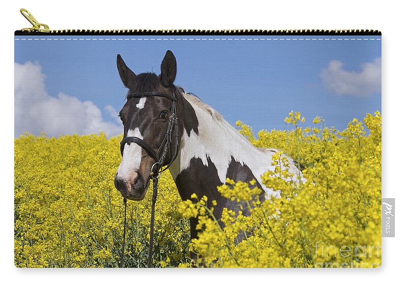 American Indian Horse Zip Pouch featuring the photograph 140804p239 by Arterra Picture Library