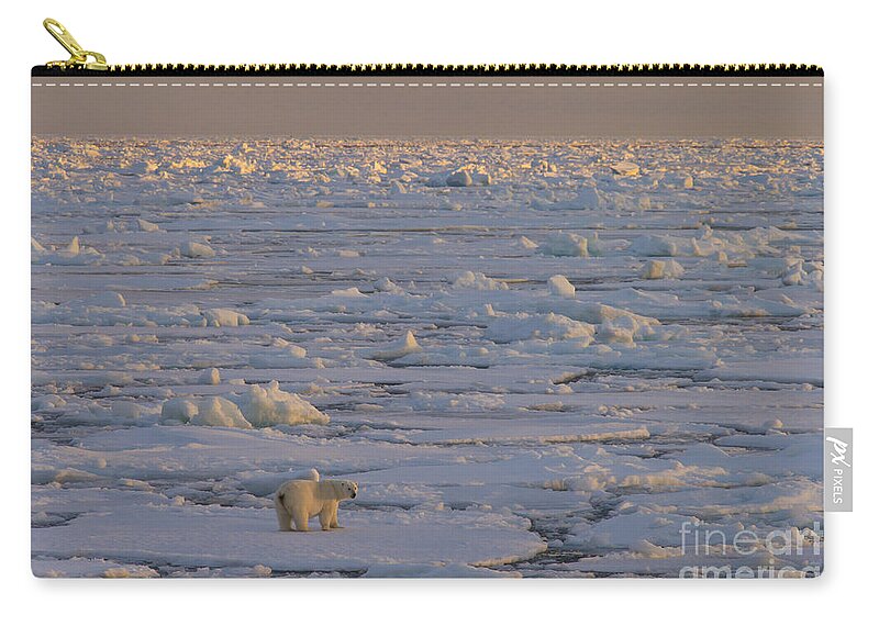 Polar Bear Zip Pouch featuring the photograph 150112p167 by Arterra Picture Library