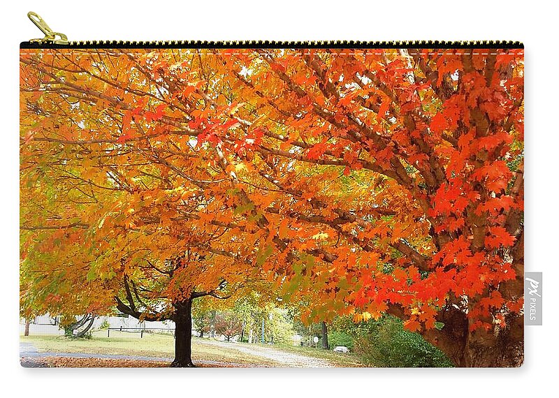 Fall Zip Pouch featuring the photograph Fall Explosion of Color #17 by Kenny Glover