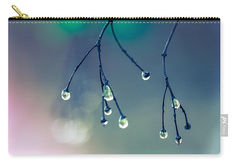 Canada Carry-all Pouch featuring the photograph After Rain by Jakub Sisak