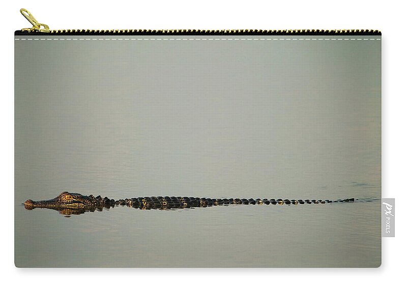 Photography Zip Pouch featuring the photograph American Alligator Alligator #2 by Animal Images