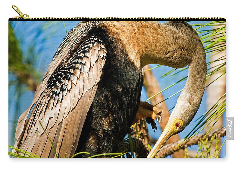Nature Zip Pouch featuring the photograph Anhinga #2 by Millard H. Sharp