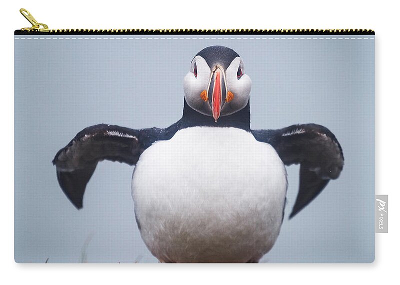 Photography Zip Pouch featuring the photograph Atlantic Puffin Fratercula Arctica #2 by Panoramic Images