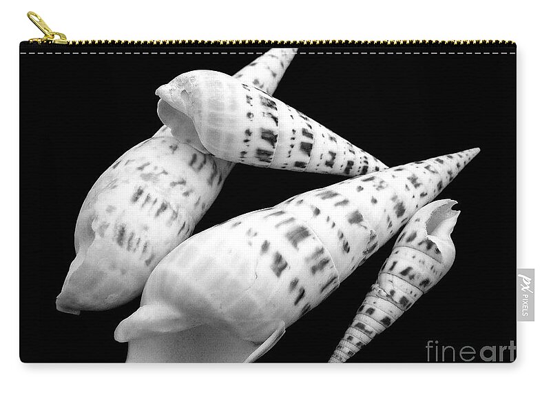 Sea Shell Zip Pouch featuring the photograph Augers #1 by Mary Deal