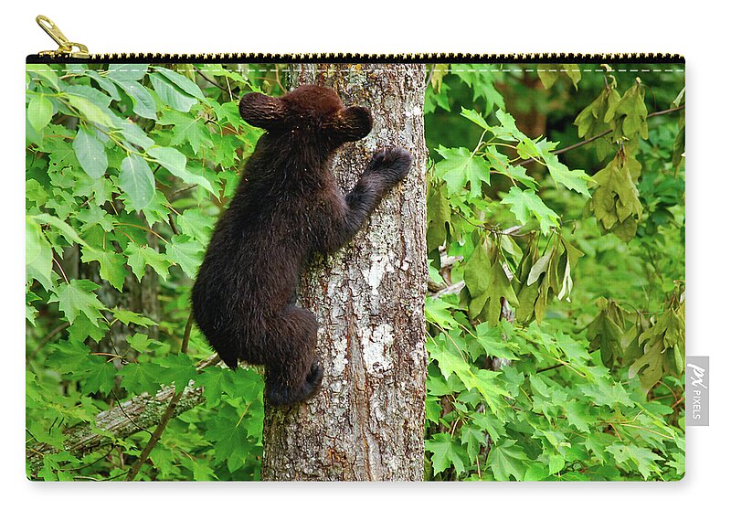 Bear Zip Pouch featuring the photograph Baby Bear by Christi Kraft