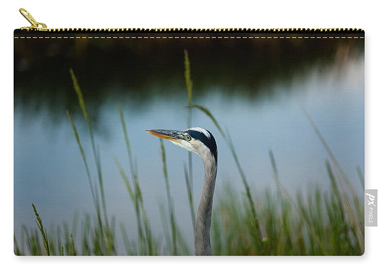 Blue Heron Zip Pouch featuring the photograph Blue Heron #2 by Raul Rodriguez