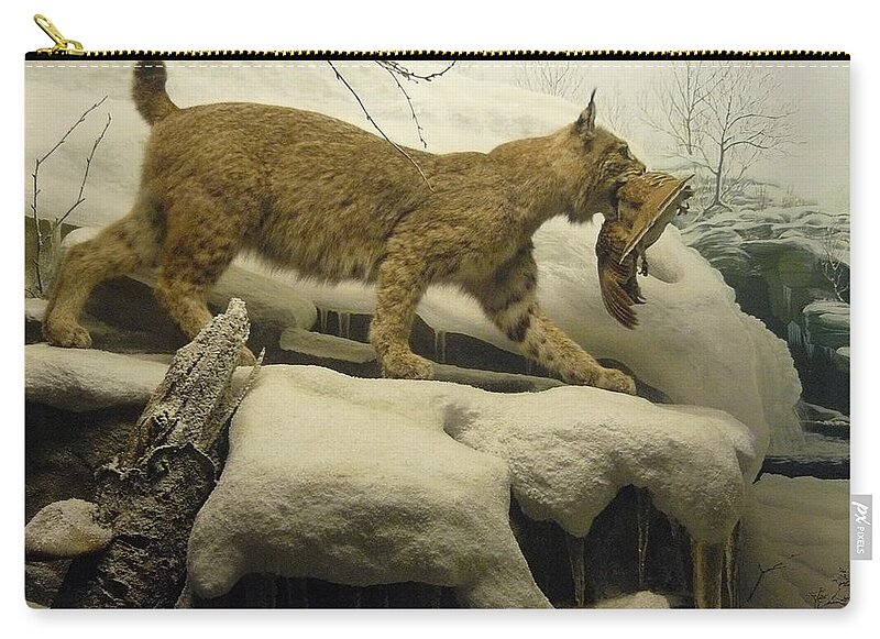 Wildlife Zip Pouch featuring the photograph Bobcat Diorama #2 by Mary Ann Leitch