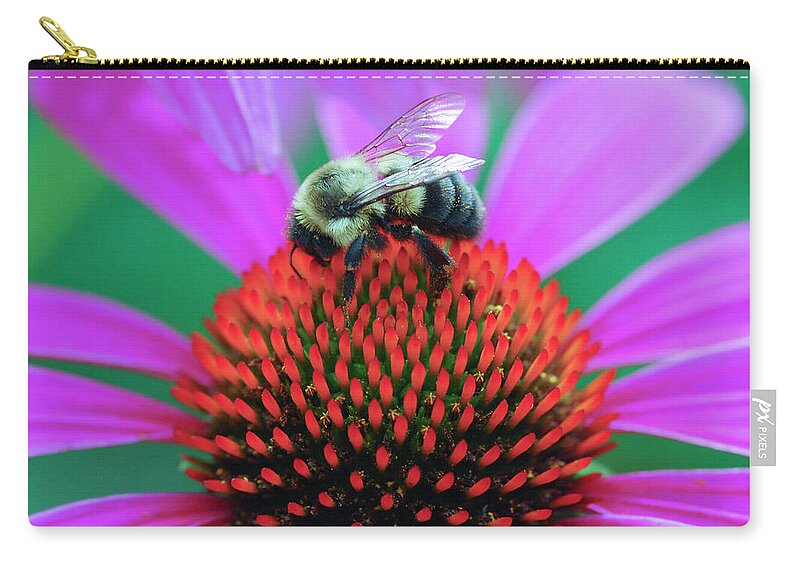 Yellow Black Bumblebee Zip Pouch featuring the digital art Bumblebee on Flower by Crystal Wightman
