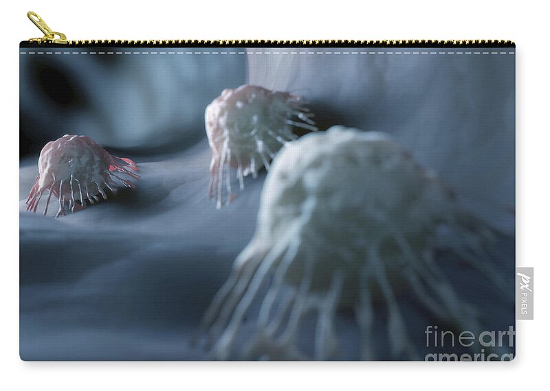 Cancer Cells Zip Pouch featuring the photograph Cancer Cells #3 by Science Picture Co