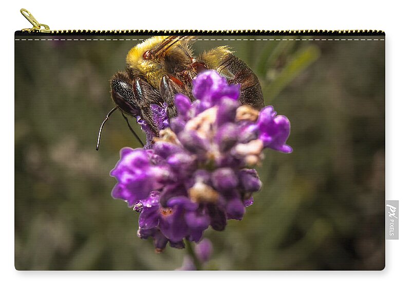 Flower Carry-all Pouch featuring the photograph Carpenter Bee on a Lavender Spike by Ron Pate