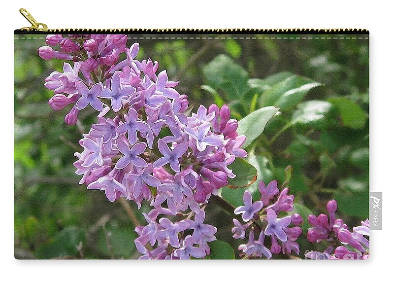 Common Purple Lilac Zip Pouch featuring the painting Common Purple Lilac #1 by J McCombie