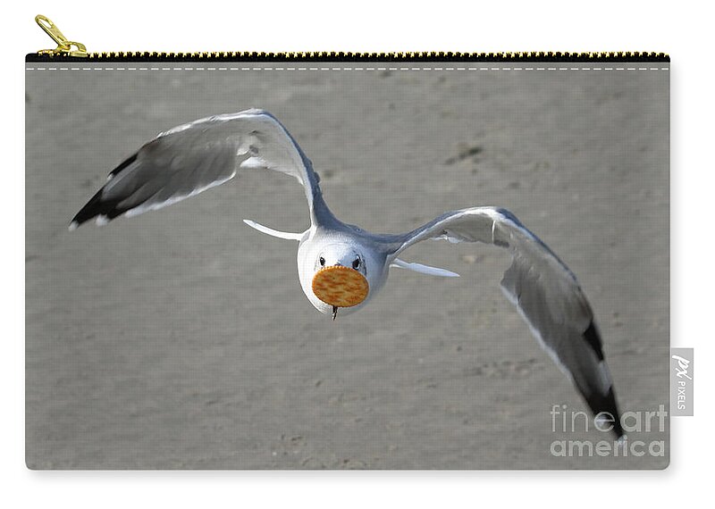 Seagulls Zip Pouch featuring the photograph Cracker Snatcher by Geoff Crego