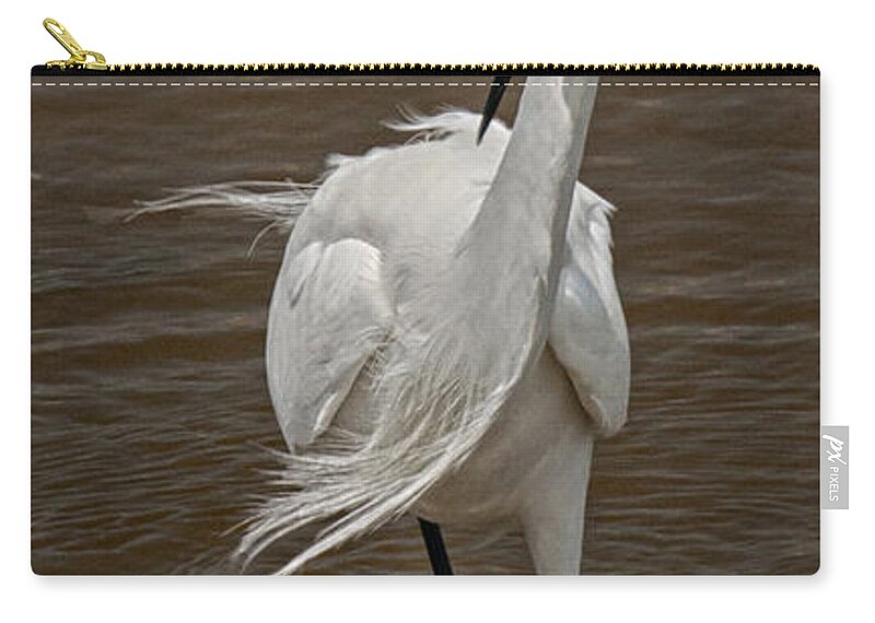 Snowy Egret Zip Pouch featuring the photograph Dancing on the Wind #2 by Betty Depee