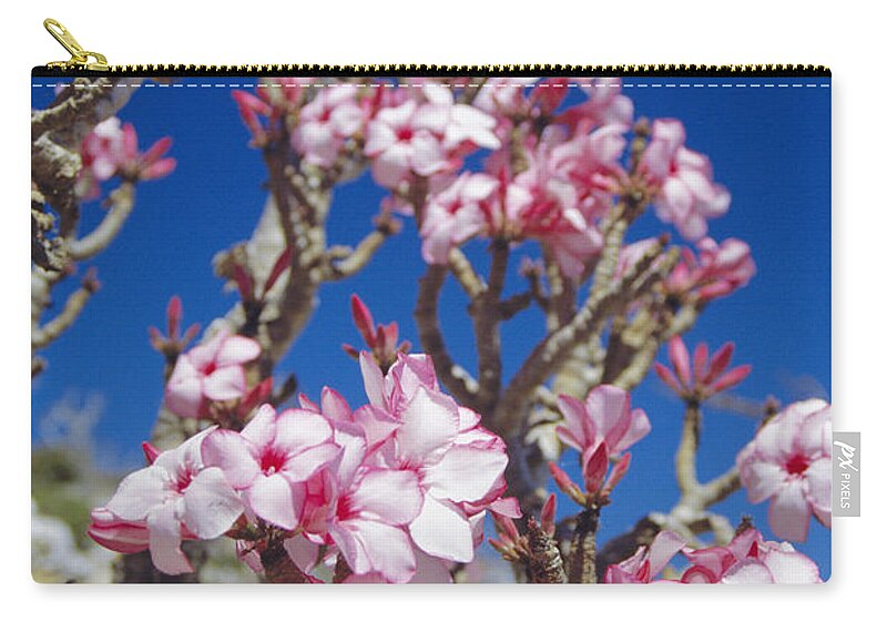Angiosperm Zip Pouch featuring the photograph Desert Rose Flowers #2 by Diccon Alexander