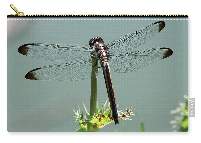 Nature Zip Pouch featuring the photograph Dragonfly #4 by John Freidenberg