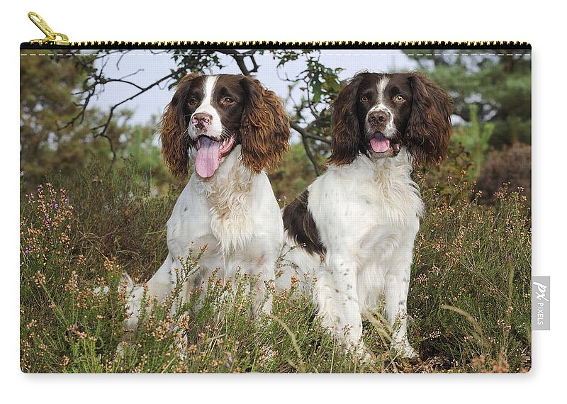 Dog Zip Pouch featuring the photograph English Springer Spaniels #2 by John Daniels