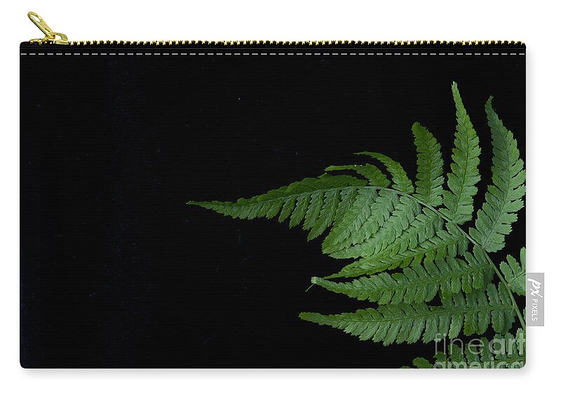 Fern Zip Pouch featuring the photograph Fern II #1 by Alana Ranney