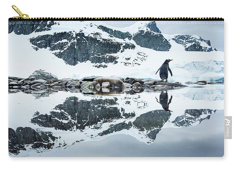 Iceberg Zip Pouch featuring the photograph Gentoo Penguin, Cuverville Island #2 by Paul Souders
