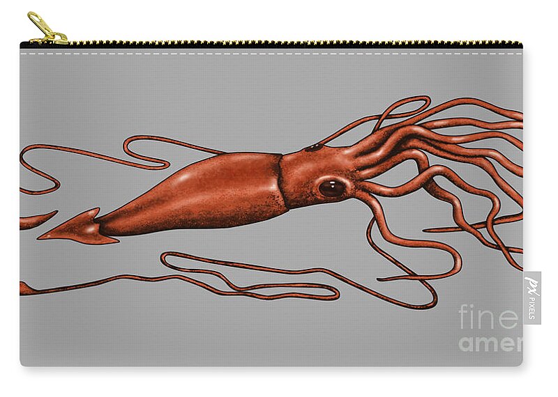 Animal Zip Pouch featuring the photograph Giant Squid #2 by Gwen Shockey